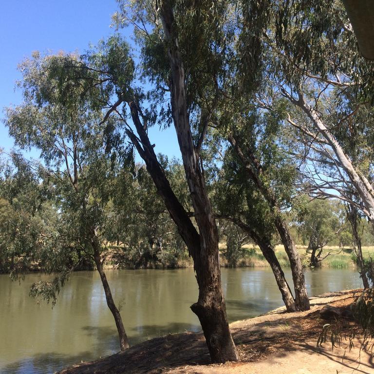 Wagga Wagga Beach Caravan Park Hotel Quarto foto